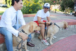 Blessing of the Animals