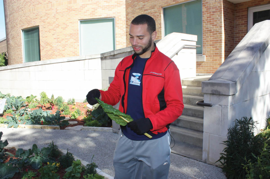 Lucke demonstrates the edibility of a Swiss chard leaf from the garden.