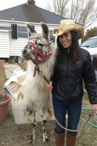 Mangum learns how to use a llama as a pack animal on the trail at Corral Creek Llamas in Kremmling, Colo.