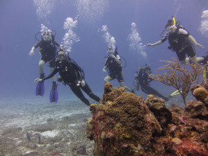 The Scuba Club diving at Chacanaal Reef on the third day  