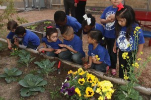 Children from Carroll observe a worm found in the vegetable garden. 