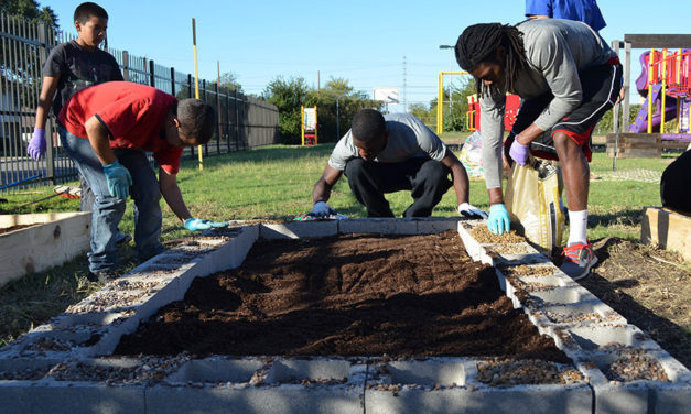 Gardening Initiatives Cultivate Community Education and Climate Leadership Award