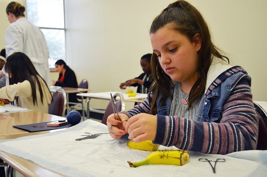 A student puts the final suture in her subject;