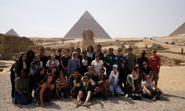 Cardinals in Cairo