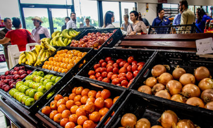 VIVA SA: Fresh Produce Initiative Brings Life to San Antonio Food Desert